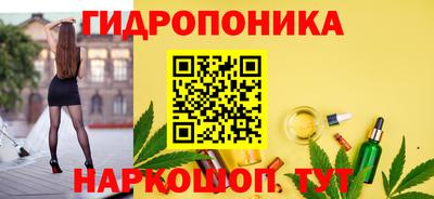 прущие крисы Бийск