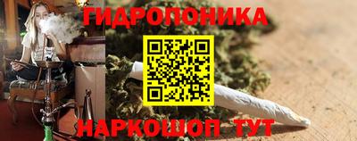 прущие крисы Бийск