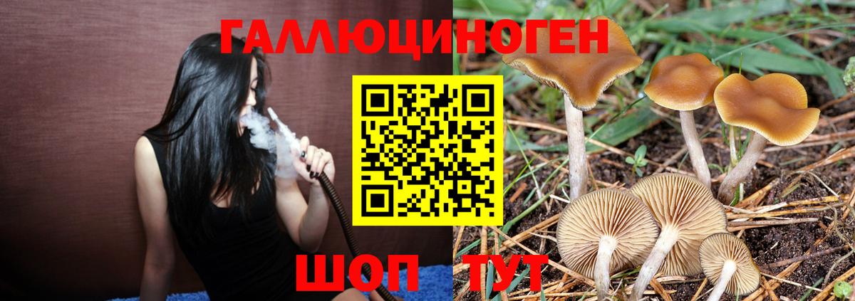 Грозный  Псилоцибиновые грибы мухоморы  Вход с VPN 