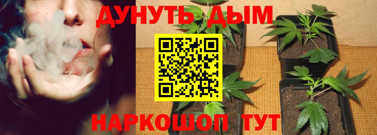 Бошки марихуана планчик Грозный